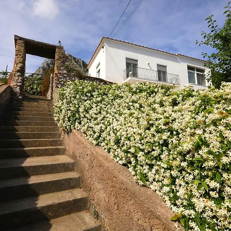 Lägenhet Casa Floriana Seaview